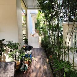 Holland Grove (D10), Detached #565055131